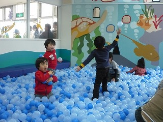P1020438.jpg