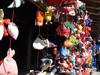 P1020559.jpg
