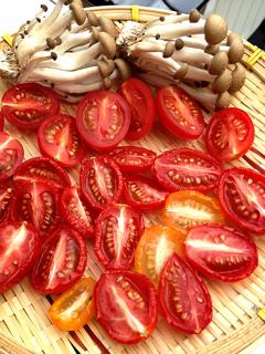 tomato.JPG