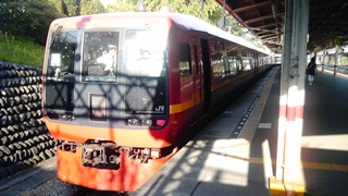 20120828 tobunikko253.jpg