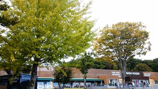 121024 nasukogen s.a..jpg