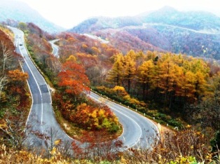 2012-11-01 15.34.54.jpg