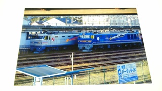 121031 izumi ef510.JPG