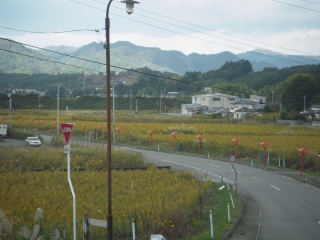画像 048.jpg