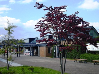 121102 asaka p.a. 01.jpg