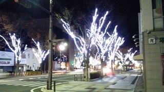 121128 hikarinosakura 01.jpg