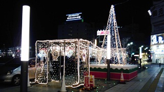 121128 hokarinosakura 02.jpg