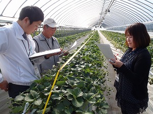 P1100387.jpg