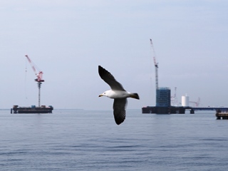 130328 onahama-01.jpg