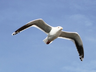 130328 onahama-02.jpg