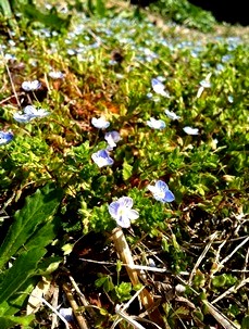 2013-03-19 13.54.52.jpg