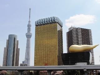 130401 sakura.asakusa-02.jpg