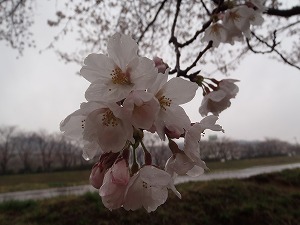 P4020202.jpg