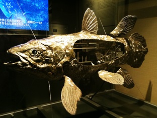 2013-04-07 16.30.26.jpg