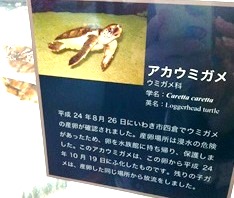 2013-04-07 15.38.04.jpg
