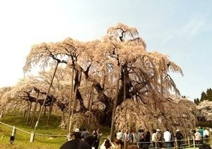2013-04-17 13.19.12.jpg