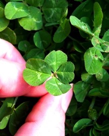 2013-05-09 06.43.59.jpg