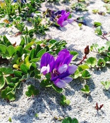 2013-05-22 13.56.30.jpg