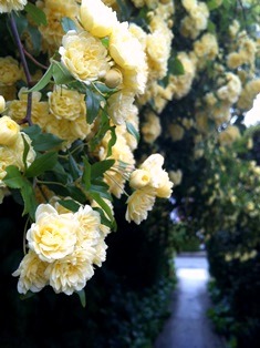 2013-05-12 16.49.54.jpg