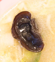 2013-06-kikurage.jpg