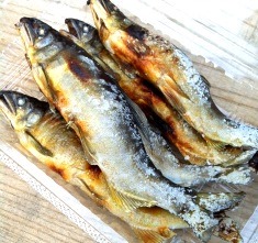 2013-08-14 ayu.jpg