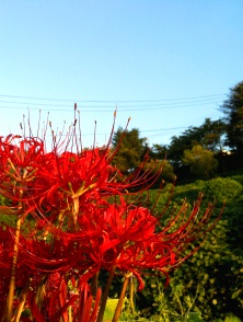 2013-09-20.jpg