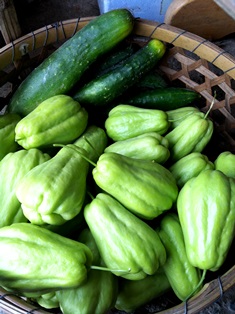 2013-10uri.jpg