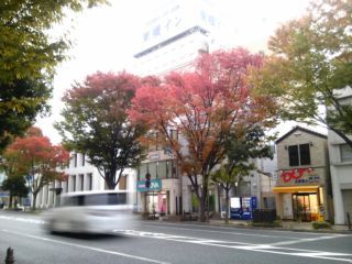 131030 taira-01.jpg