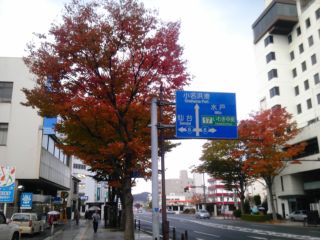 131030 taira-02.jpg