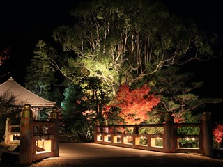 131113 shiramizu-01.jpg