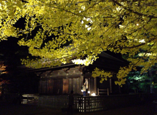 写真 1.PNG