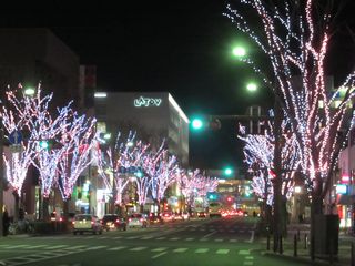 IMG_5417 2.jpg