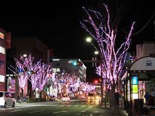 131211 taira-01.jpg