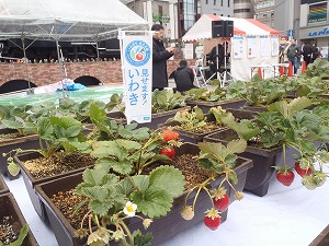 P1150679.jpg