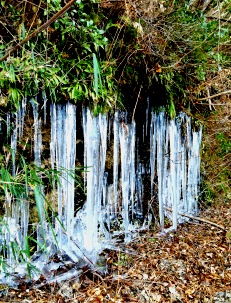 2014-jan氷柱.jpg
