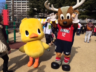 ひよこ.JPG