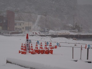 P2080746.jpg
