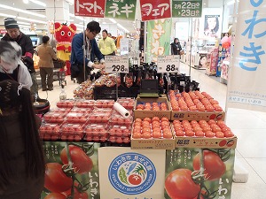 P2230770.jpg