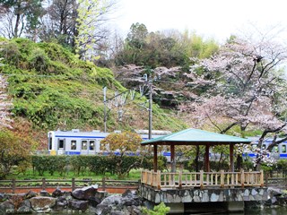 140403 matsugaoka park-01.jpg