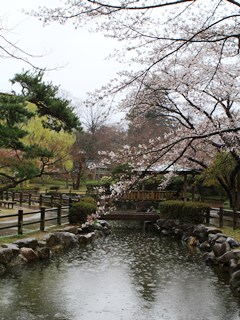 140403 matsugaoka park-02.jpg