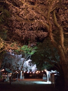 写真 2.JPG