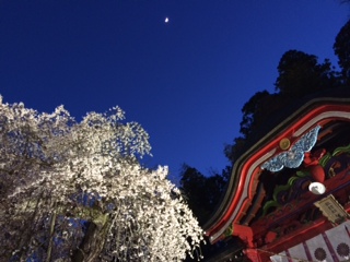 写真 1.JPG