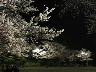 140409 matsugaoka-01.jpg