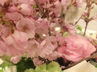 sakura.JPG