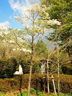 140501 nasukogen s.a.-02.jpg