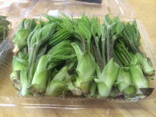 山菜2.JPG