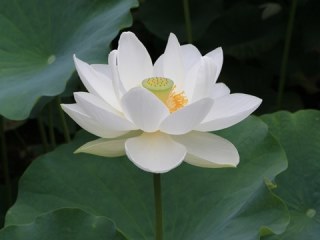 140724 matsugaoka-02.jpg