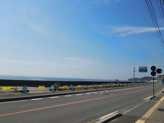 DSC_0703.JPG