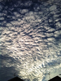2014-08-29 雲.jpg