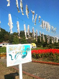 140930 motegi-02.jpg
